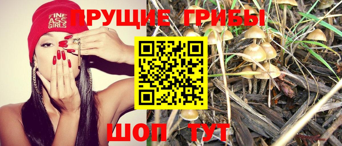 Псилоцибиновые грибы Cubensis  Вход с VPN  закладка  Кунгур 