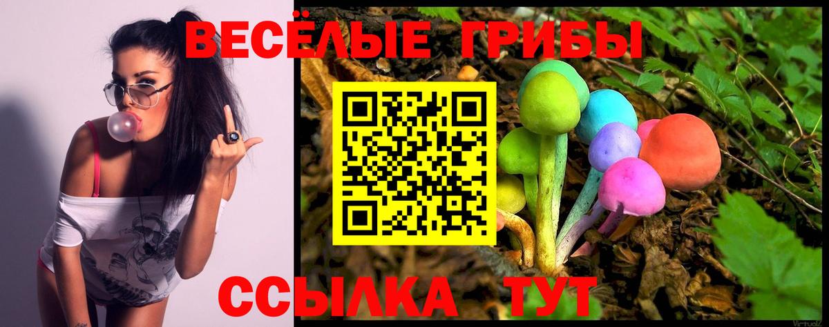 Псилоцибиновые грибы Cubensis Кунгур